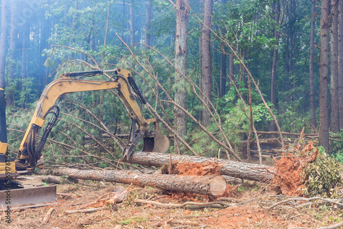 Tractor manipulator is used in deforestation process pull down trees raise logs to clearing land for housing construction.