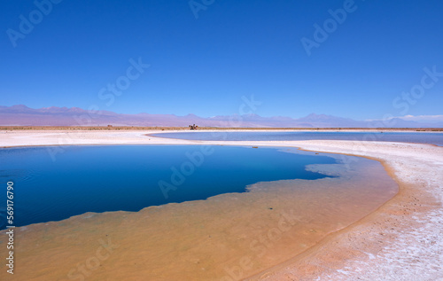 cejar lagoon in atacama desert, chile photo