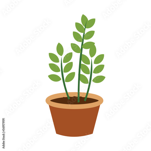 Potted Plant Illustration