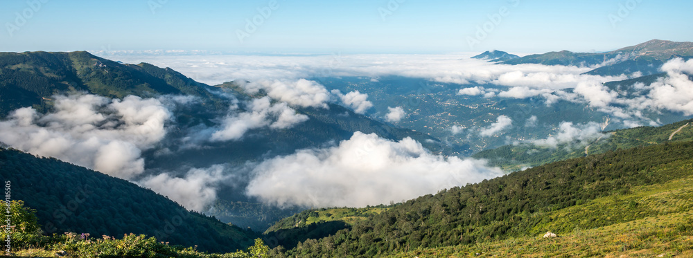 Fototapeta premium yaylalar-trabzon