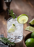 Gin and tonic cocktail with lime. rosemary and ice