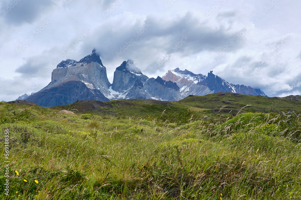 Fototapeta premium mountain view of torres del paine in chile with river