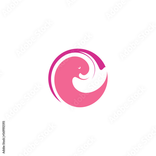 embryo logo stylized icon vector