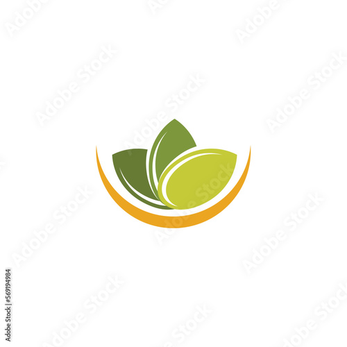 pumpkin seed logo icon vector clipart