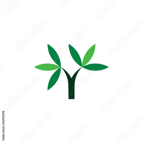 tree leaf plant logo icon