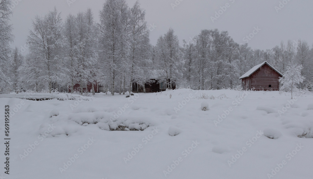 Wooden buildings on the edge of a snowy forest on a cloudy winter day