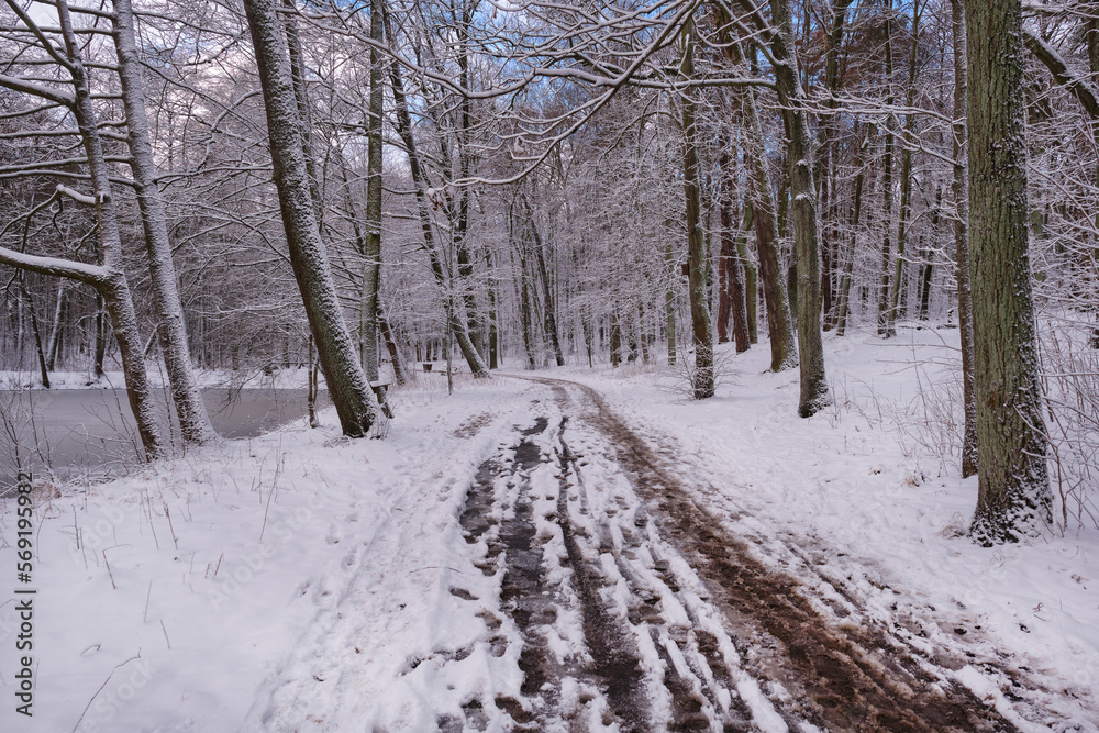 Winter landscape