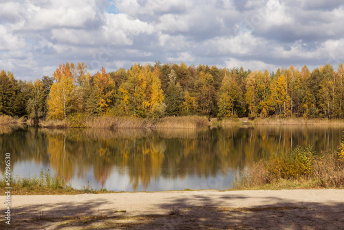 A pond in the forest, an autumn landscape, a calm water surface and a forest in autumn.