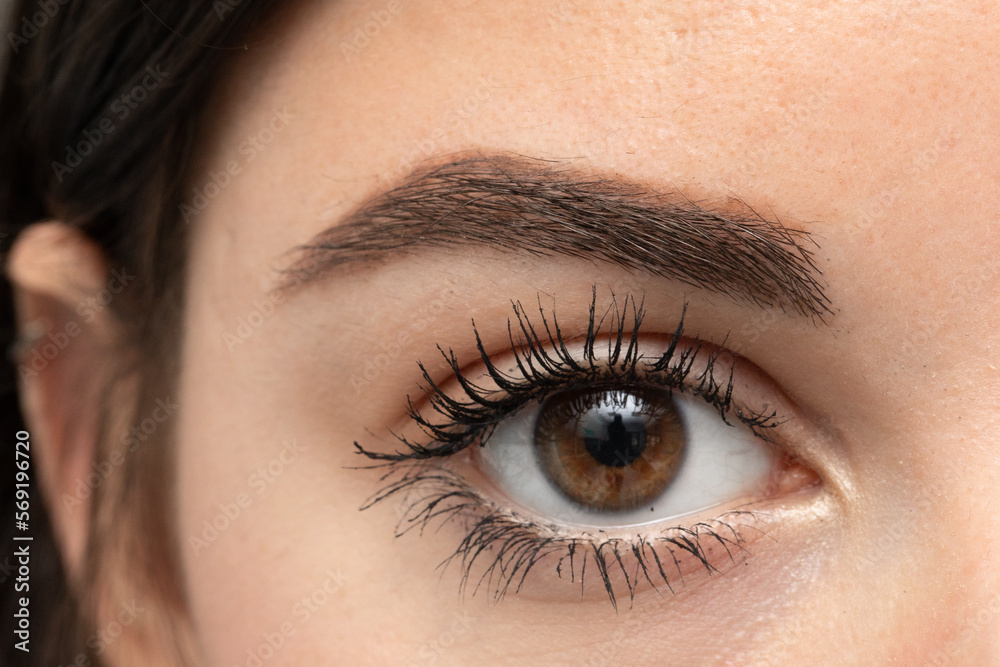 Obraz premium Well-Groomed Brown Eye of a Woman