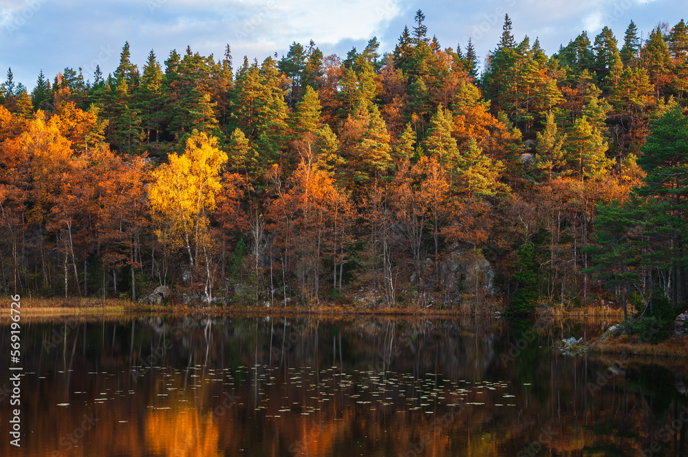 Fall colors at still lake