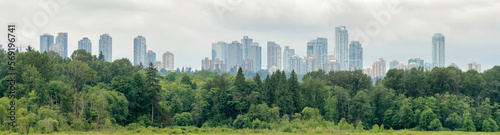 Panoramic view of Metrotown city on overcasted sky background. © Imagenet