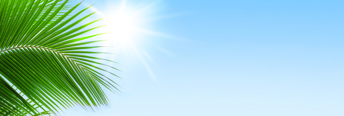 Palm tree leaf blue sky sun background frame, green palm branch corner border, tropical island sea beach banner, summer holidays template, vacation design, travel pattern, tourism backdrop, copy space