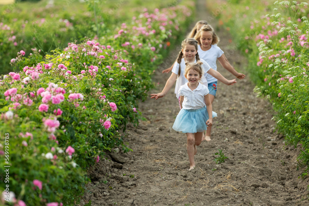 Children play in nature. The girls are having fun running around. Children play in nature. The girls are having fun running around.