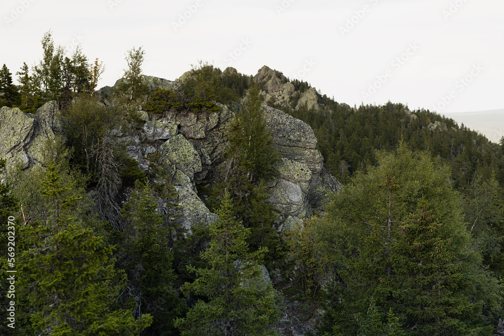 Cracked and sharp grey weathered rocks in green spruce forest in overcast summer day with white sky, high view on valley. Majestic mountains background and hiking in outdoors.