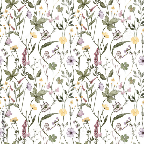 Fototapeta Naklejka Na Ścianę i Meble -  Wildflowers Seamless Pattern. Spring Flowers. Summer flowers. Floral Texture.  White Background