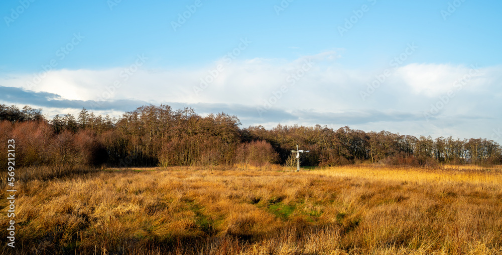 Swamp landscape with simple windmill
