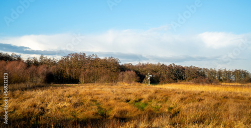 Swamp landscape with simple windmill 