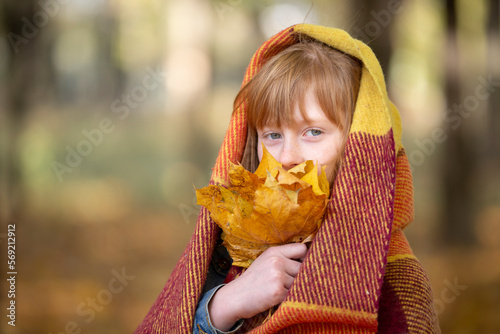 A red-haired little girl wrapped in a woolen blanket holds a bouquet of maple leaves. A sad child on an autumn day. Autumn has come.