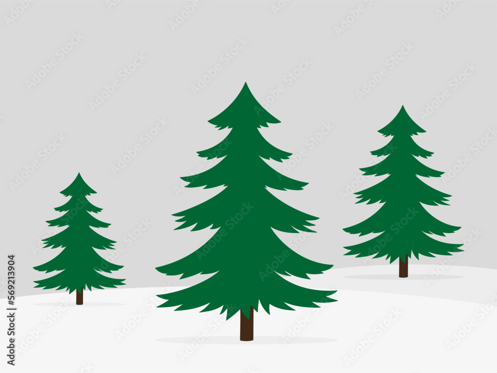 Green firs in the snow