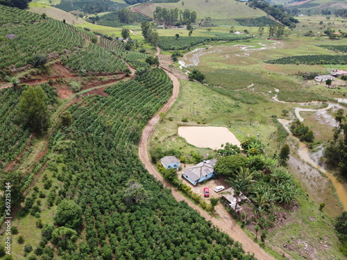 coffee plantation and road in the region minas gerais mountains