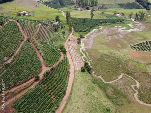 coffee plantation and road in the region minas gerais mountains