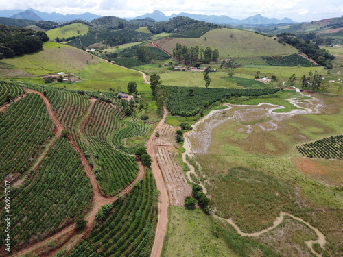coffee plantation and road in the region minas gerais mountains