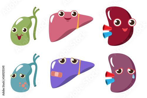 cute cartoon vector, illustration emotion gallbladder, liver and kidney.