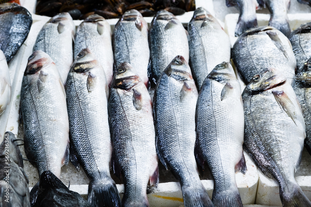 Obraz premium Fresh fish on the street market.