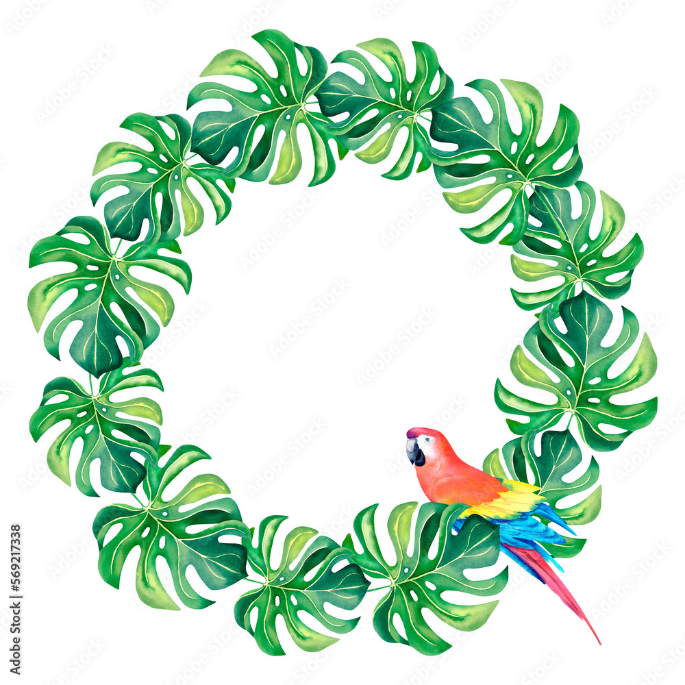 Naklejka premium A wreath of monstera and macaw. A tropical wreath. Watercolor illustration on an isolated background. Tropical birds. Exotic birds.