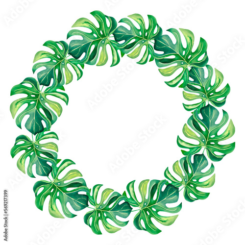 A wreath of monstera. A tropical wreath. Watercolor illustration on an isolated background. Tropical birds. Exotic birds.
