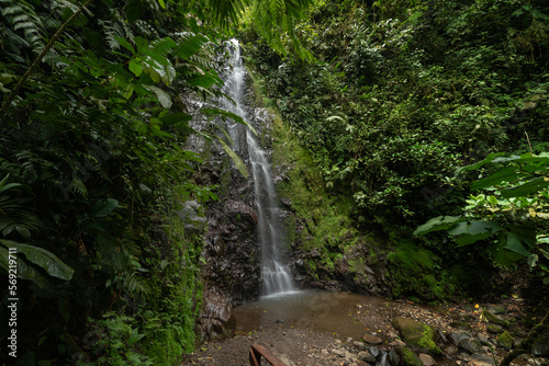 Picturesque waterfall in green forest