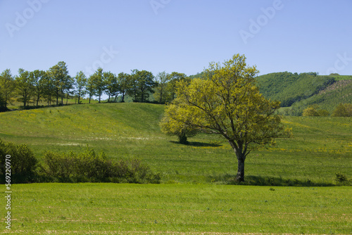 Umbria countryside during sunny day of spring