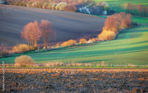 spring landscape of rural half