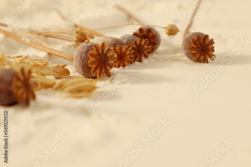  Cooking at home: scattered flour background with dry branches of cereals and poppy close-up, space for text