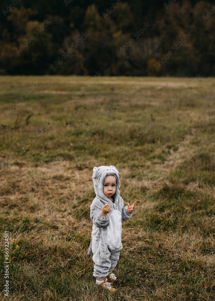 Little child in a plush mouse costume standing in an open field, looking at camera. Little child in a plush mouse costume standing in an open field, looking at camera.