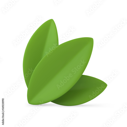 Green foliage summer spring Easter decor element 3d icon botanical flora realistic vector