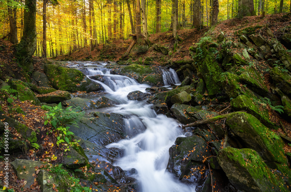 Szepit Waterfall in the Bieszczady Mountains Szepit Waterfall in the Bieszczady Mountains