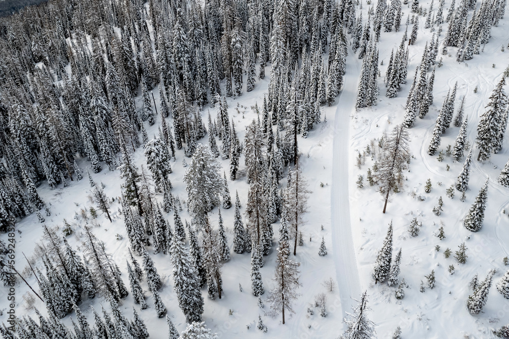 Obraz premium Aerial view of winter landscape atop alpine forest mountain top