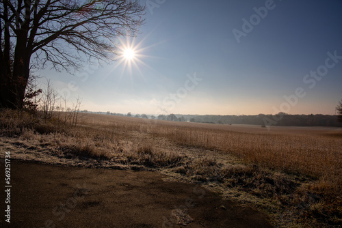 winterliche Landschaft photo