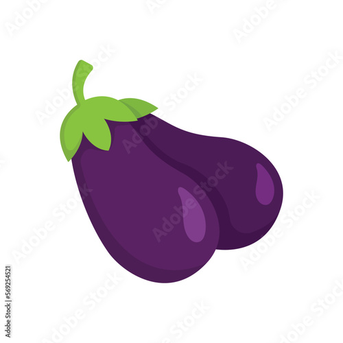 eggplant icon vector design template in white background