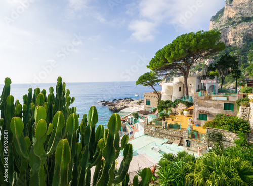 Marina Piccola, cactus, pin parasol, Ile de Capri, Baie de Naples, Italie photo