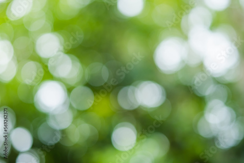 green bokeh background,green bokeh,green bokeh abstract	


