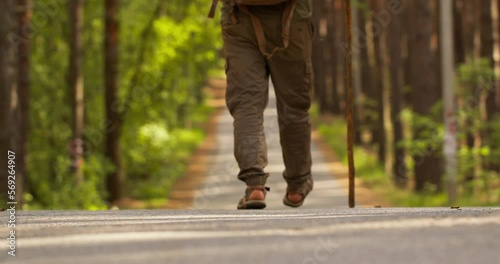 Jungle travel. A bearded man in tourist clothes with a stick in his hands walks along the road in the forest. The view from the back moves away from the camera. Tracking. Tourist in the forest