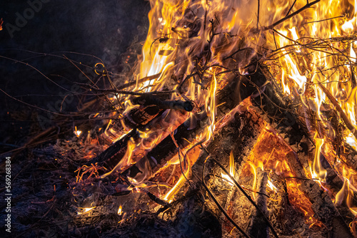 Lagerfeuer photo