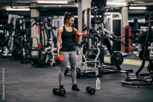 Fototapeta Naklejka Na Ścianę i Meble -  A healthy muscular sportswoman is flexing muscles and doing exercises for biceps with dumbbells in a gym.