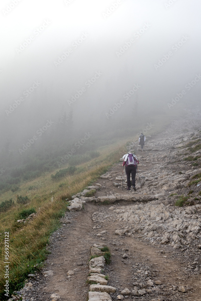 Górski szlak we mgle, droga na Kasprowy Wierch Tatry, Zakopane