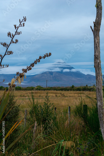 Vulkan in Wolken mit Bäumen im Tongariro Nationalpark in Neuseeland.