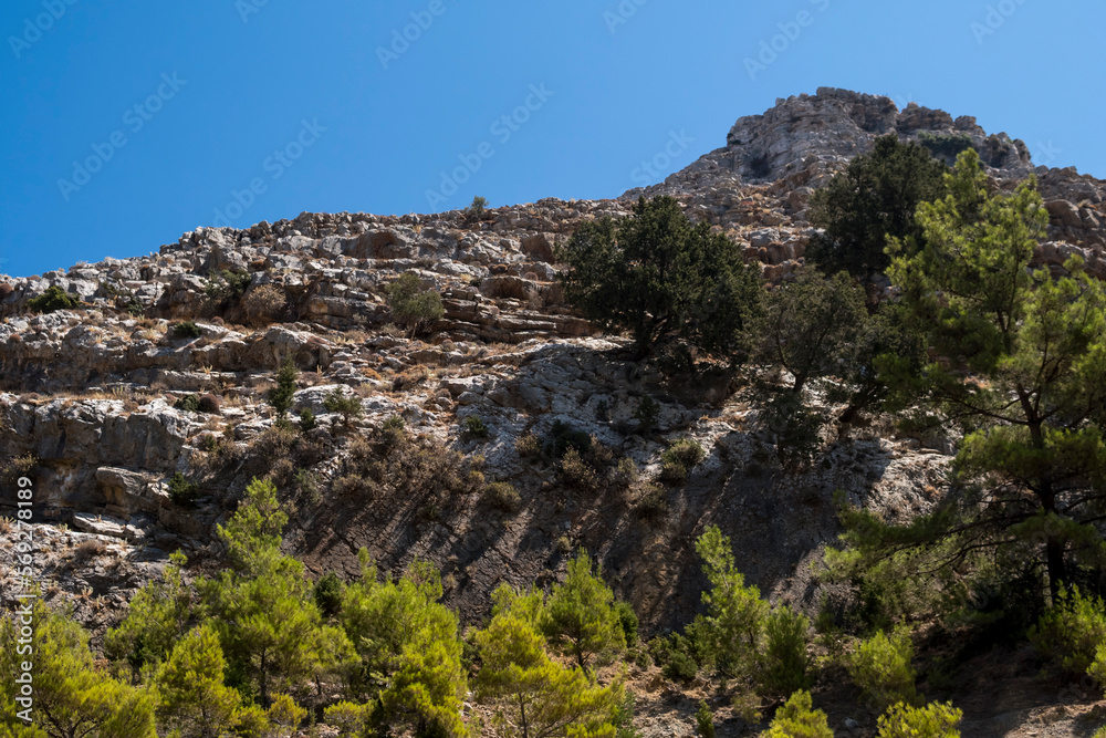 Mediterranean landscape of island of Rhodes