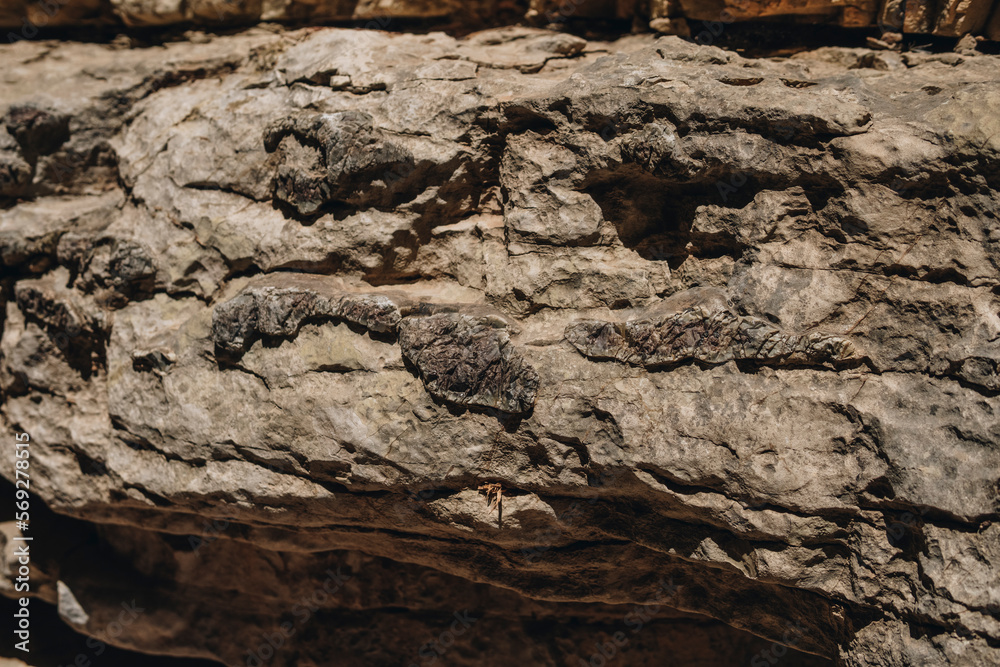 Fototapeta premium flint inside of limestone rocks in the bottom of Jacob's Canyon