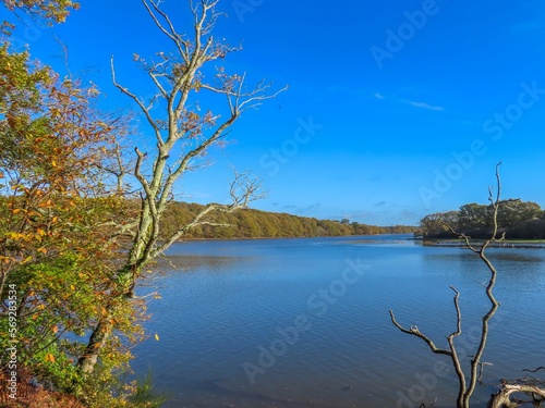 view down The River Hamble Hampshire England on a bright sunny Autumn day